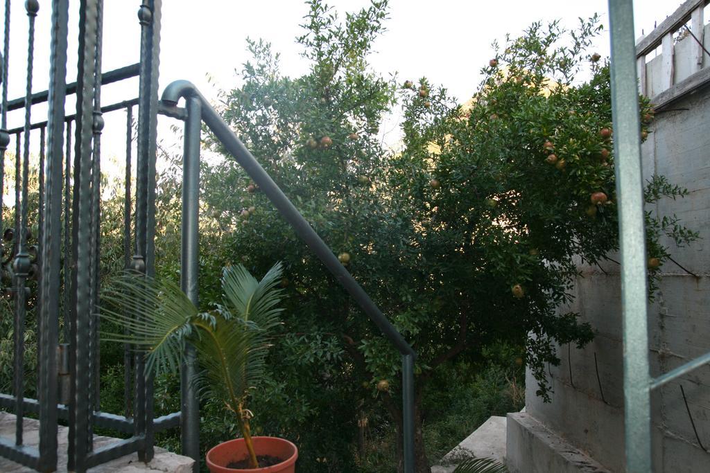 Apartments Villa Cucuk Μπούντβα Εξωτερικό φωτογραφία